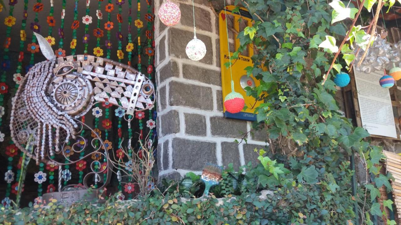 Criatividade Na Serra Διαμέρισμα Petrópolis Εξωτερικό φωτογραφία