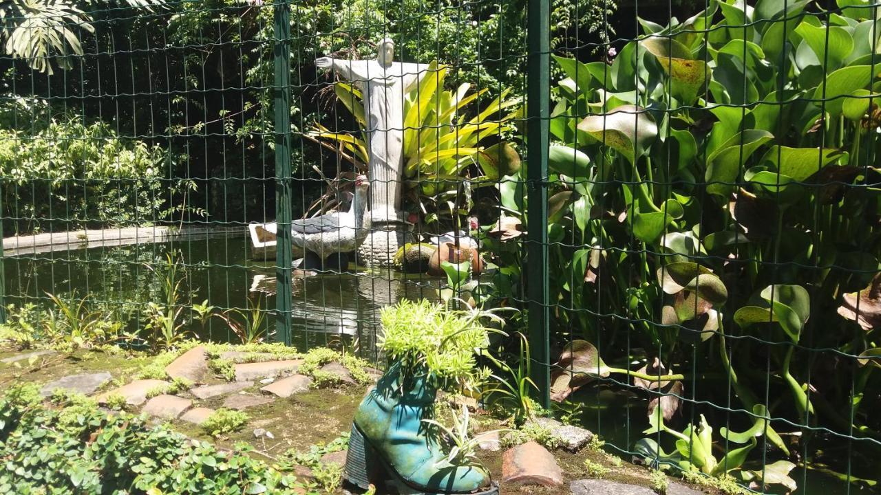 Criatividade Na Serra Διαμέρισμα Petrópolis Εξωτερικό φωτογραφία